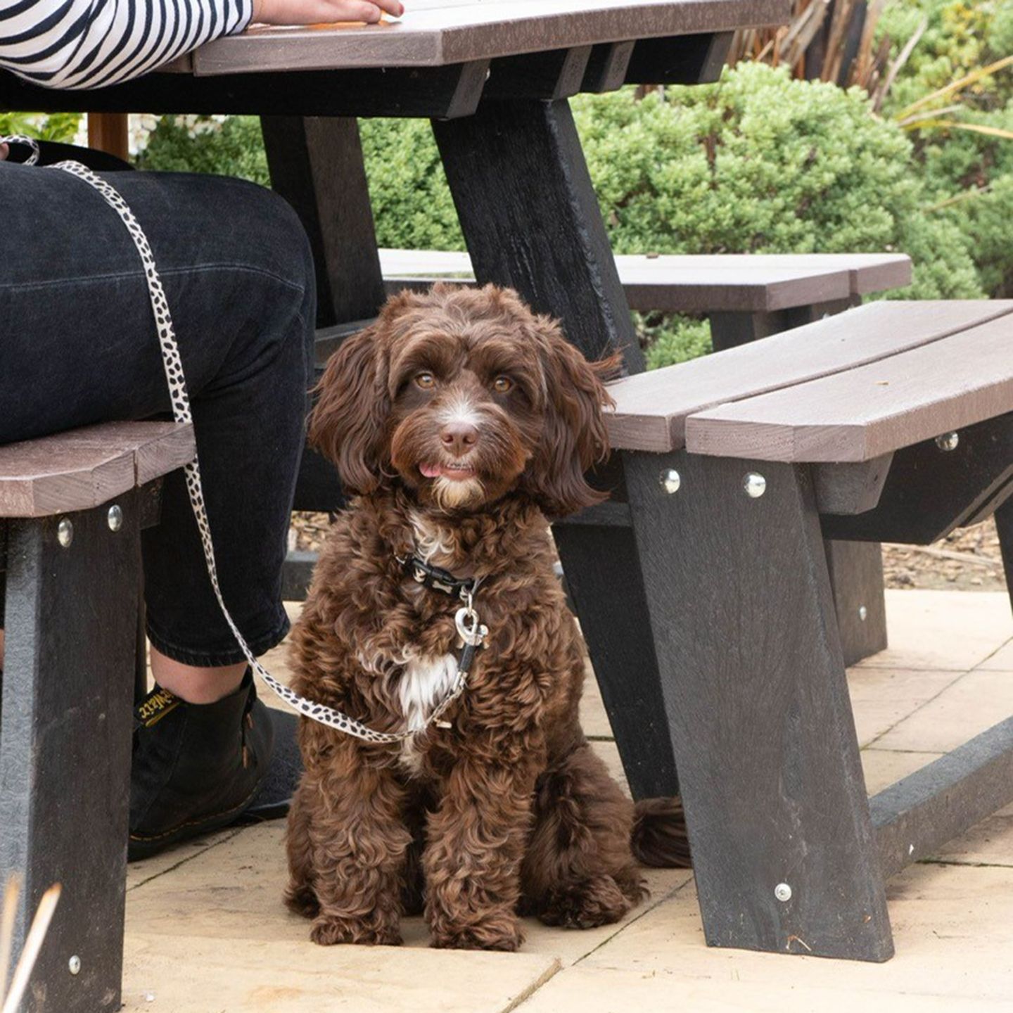 Your local dog friendly pub in Bilston